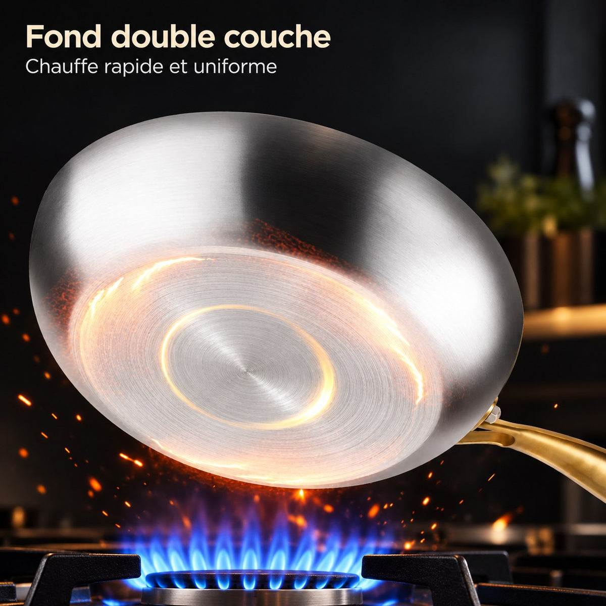 Poêle inox 316 – fond double couche, gaz et induction